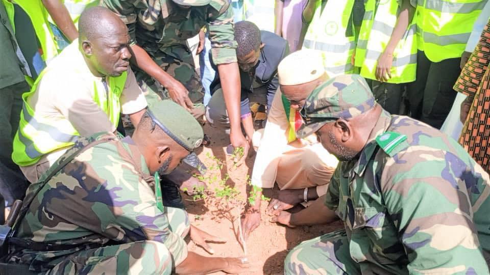Lutte contre la déforestation : Le Mouvement An Biko joue sa partition à Fana. 